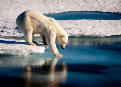 رکورد جدید دما در قطب شمال