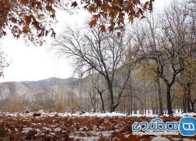 روستای دهبکری یکی از زیباترین روستاهای استان کرمان است